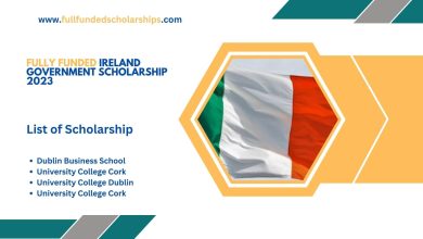 Fully Funded Ireland Government Scholarship 2023