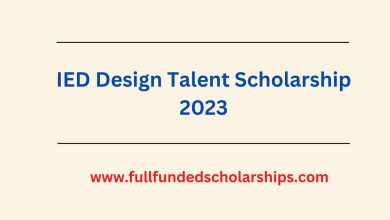 IED Design Talent Scholarship 2023
