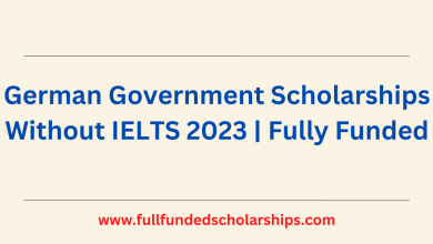 Scholarships in China Beijing Municipal Government 2023 6