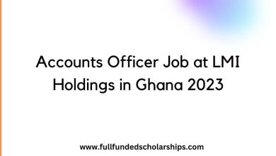 Accounts Officer Job at LMI Holdings in Ghana 2023