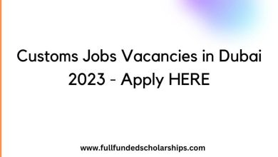 Customs Jobs Vacancies in Dubai 2023 - Apply HERE