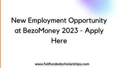 New Employment Opportunity at BezoMoney 2023 - Apply Here