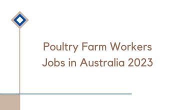 Poultry Farm Workers Jobs in Australia 2023