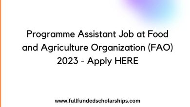 Programme Assistant Job at Food and Agriculture Organization (FAO) 2023 - Apply HERE