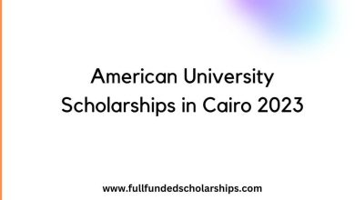 American University Scholarships in Cairo 2023