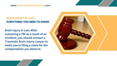 Brain injury in Law - Everything you need to know