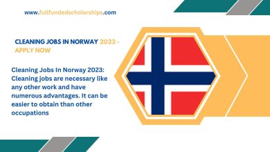 Cleaning Jobs In Norway 2023 - Apply Now