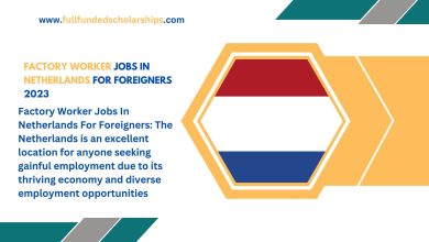 Factory Worker Jobs In Netherlands For Foreigners 2023
