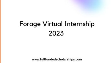 Forage Virtual Internship 2023