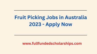 Fruit Picking Jobs in Australia 2023