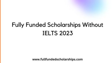 Fully Funded Scholarships Without IELTS 2023