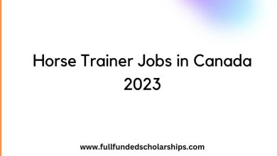 Horse Trainer Jobs in Canada 2023