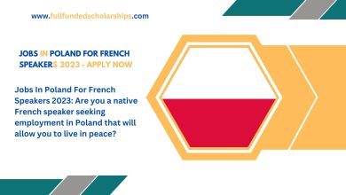 Jobs In Poland For French Speakers 2023 - Apply Now
