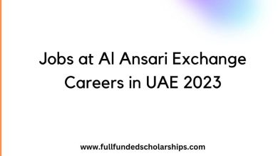 Jobs at Al Ansari Exchange Careers in UAE 2023