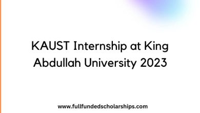 KAUST Internship at King Abdullah University 2023