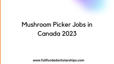 Mushroom Picker Jobs in Canada 2023