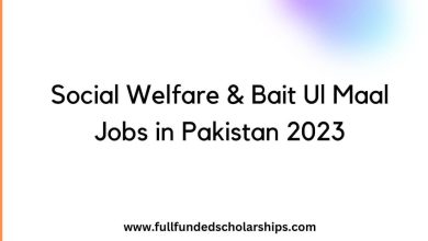 Social Welfare & Bait Ul Maal Jobs in Pakistan 2023
