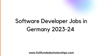 Software Developer Jobs in Germany 2023-24