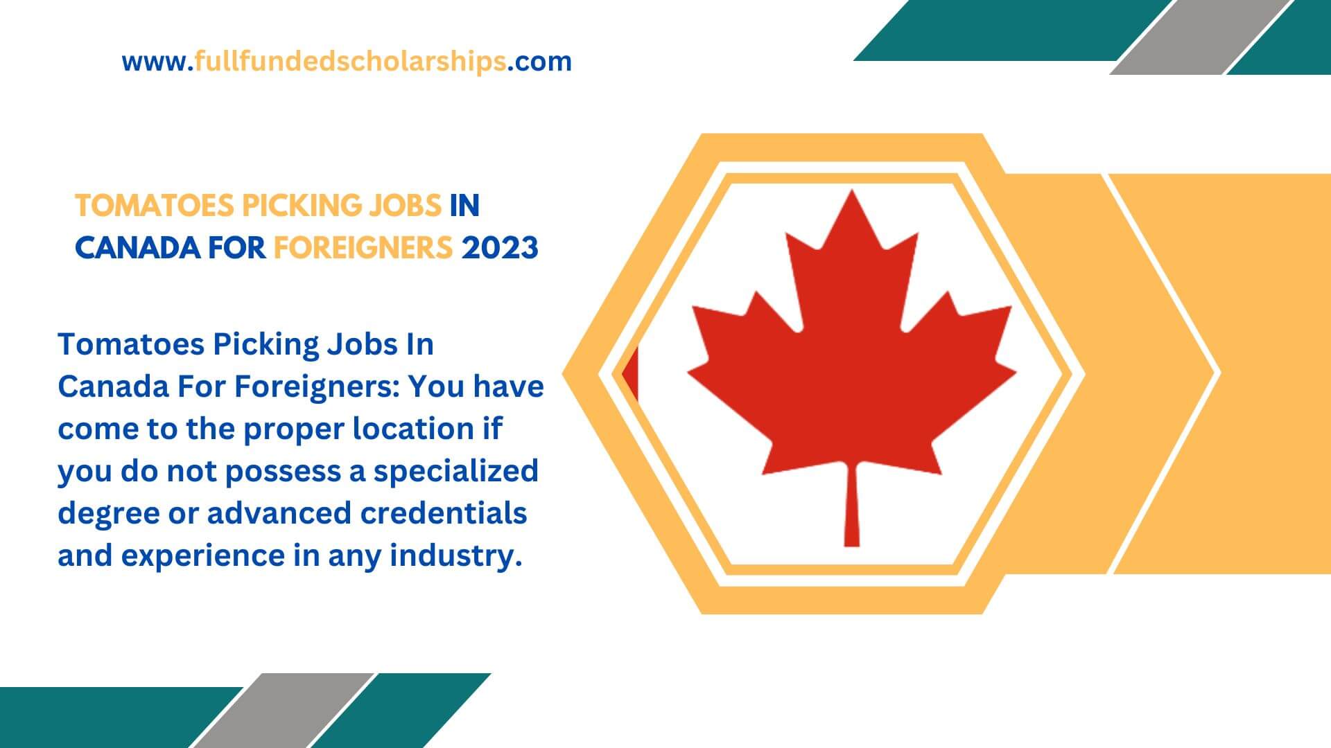 Tomatoes Picking Jobs In Canada For Foreigners 2023 - Apply Now