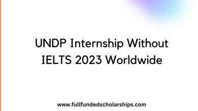 UNDP Internship Without IELTS 2023 Worldwide