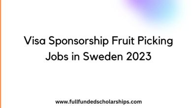 Visa Sponsorship Fruit Picking Jobs in Sweden 2023