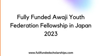 Fully Funded Awaji Youth Federation Fellowship in Japan 2023