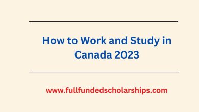 How to Work and Study in Canada 2023