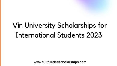 Vin University Scholarships for International Students 2023