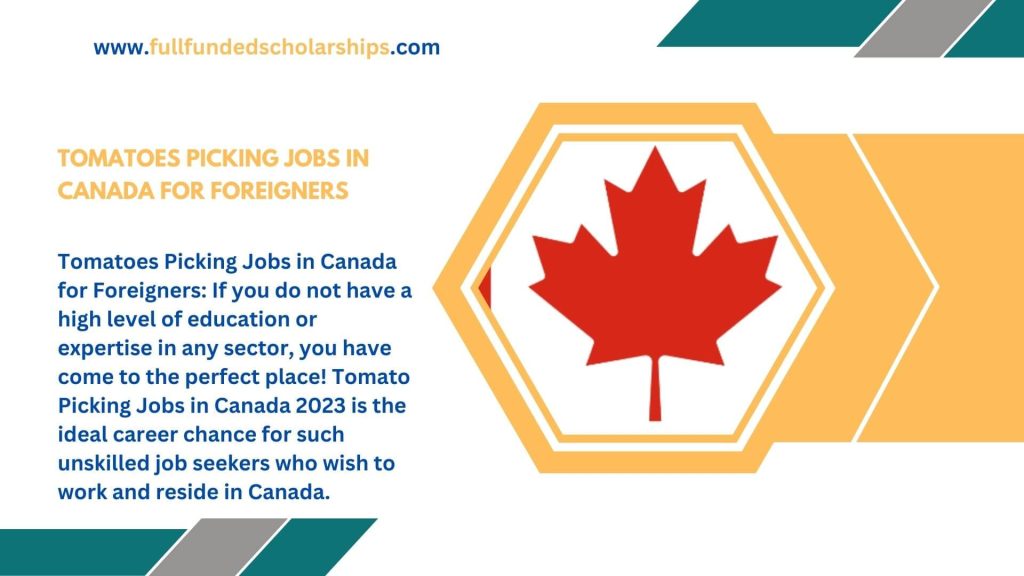 Tomatoes Picking Jobs in Canada for Foreigners - Apply online