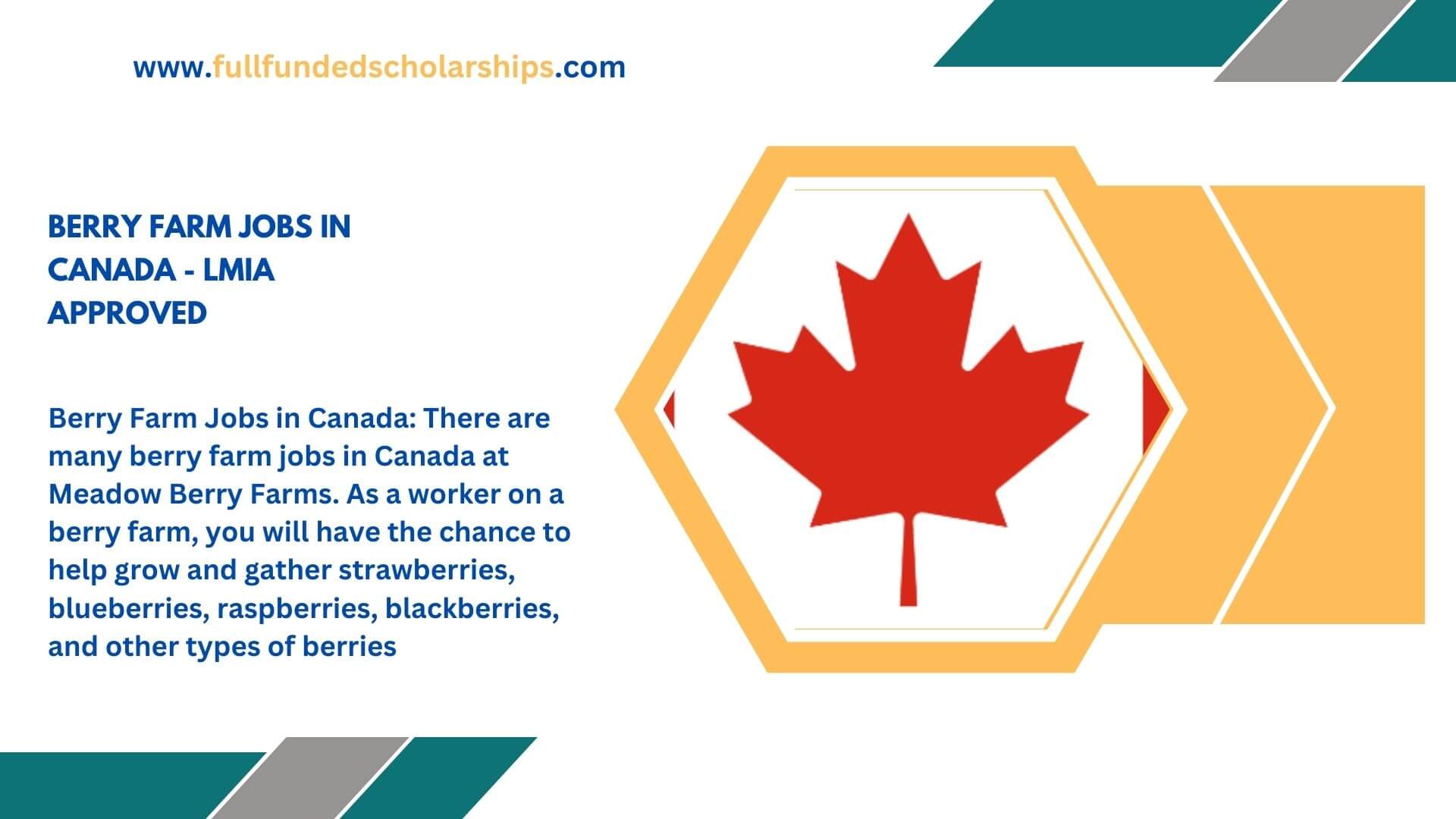 Berry Farm Jobs in Canada - LMIA Approved